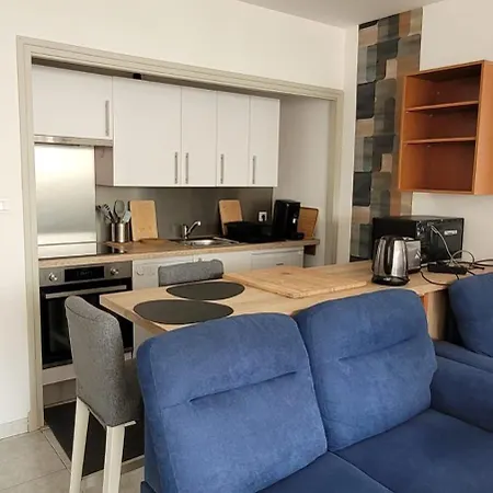 Lovely In Center - Bd Des Pyrenées - Private Parking Space * Pau
