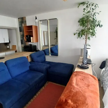 Lovely 35 M2 In Center - Bd Des Pyrenees - Private Parking Space Apartment