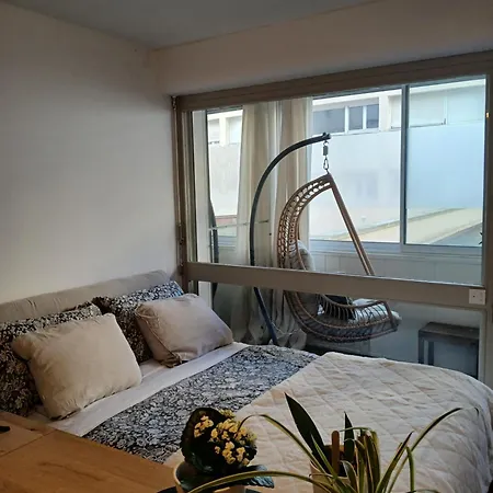 Lejlighed Lovely 35 M2 In Center - Bd Des Pyrenees - Private Parking Space