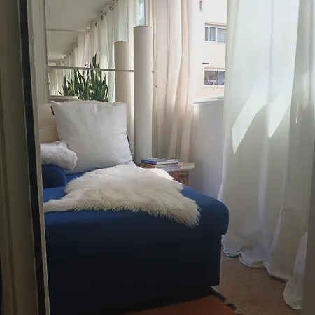 Lejlighed Lovely 35 M2 In Center - Bd Des Pyrenees - Private Parking Space