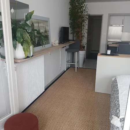 Lovely 35 M2 In Center - Bd Des Pyrenees - Private Parking Space *