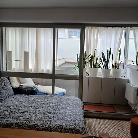 Daire Lovely 35 M2 In Center - Bd Des Pyrenees - Private Parking Space