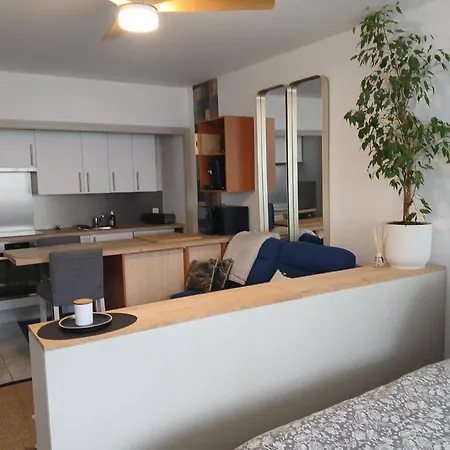 Lejlighed Lovely 35 M2 In Center - Bd Des Pyrenees - Private Parking Space