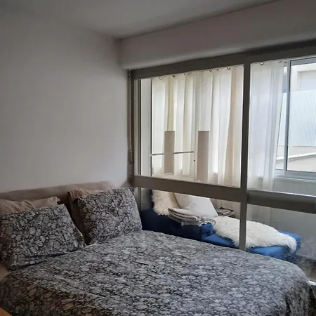 Lovely 35 M2 In Center - Bd Des Pyrenees - Private Parking Space Lejlighed Pau
